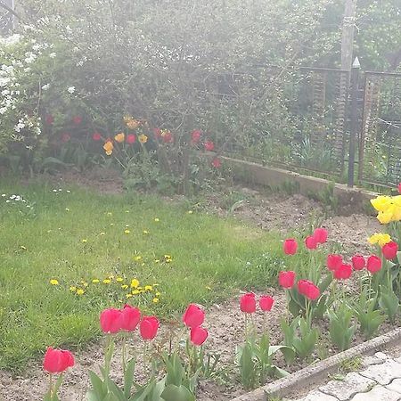 Alom Kucko Apartman Zalaegerszeg Zewnętrze zdjęcie