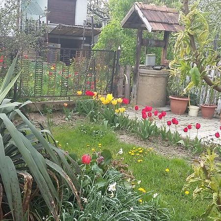 Alom Kucko Apartman Zalaegerszeg Zewnętrze zdjęcie