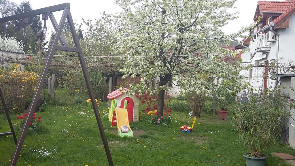 Alom Kucko Apartman Zalaegerszeg Zewnętrze zdjęcie