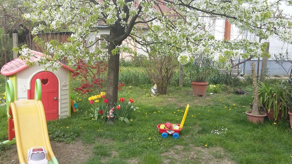 Alom Kucko Apartman Zalaegerszeg Zewnętrze zdjęcie