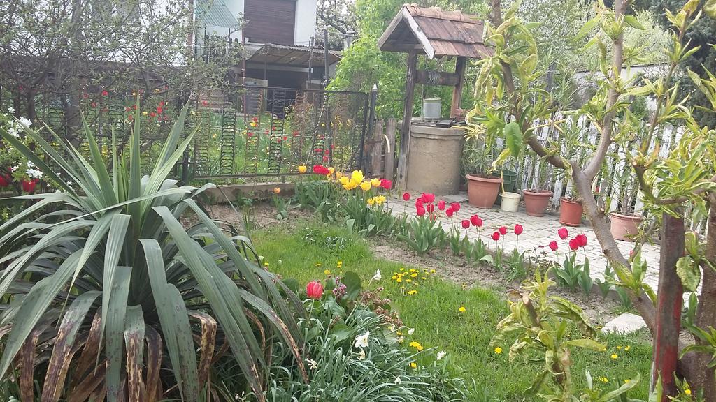 Alom Kucko Apartman Zalaegerszeg Zewnętrze zdjęcie